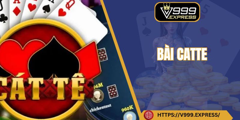 Bài catte V999