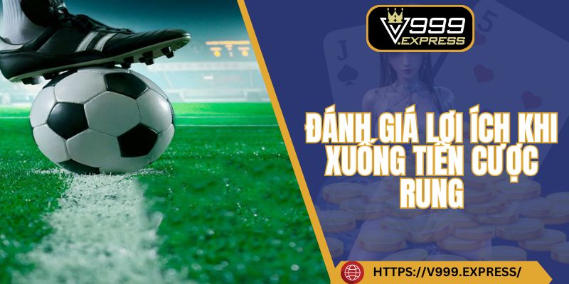 Đánh giá lợi ích khi xuống tiền cược rung