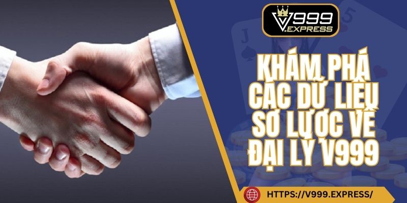 Khám phá các dữ liệu sơ lược về đại lý V999