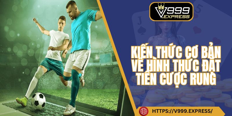 Kiến thức cơ bản về hình thức đặt tiền cược rung
