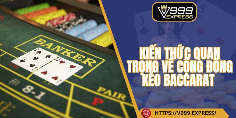 Kiến thức quan trọng về cộng đồng kéo Baccarat