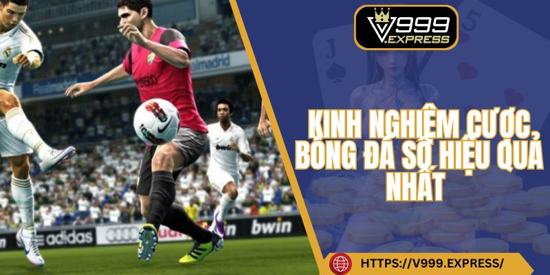 Kinh nghiệm cược bóng đá số hiệu quả nhất