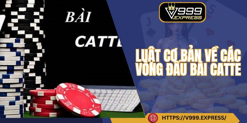 Luật cơ bản về các vòng đấu bài catte