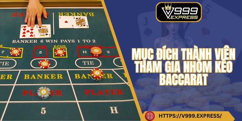 Mục đích thành viên tham gia nhóm kéo Baccarat